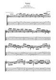 Sonate in D minor D. Scarlatti (Ana Vidovic) Transcription