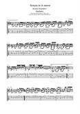 Sonata in A minor Andante J S Bach (Arcady Ivannikov) Transcription