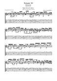 Sonate 30 in A minor Allemande - S L Weiss (Michael Ducker) Transcription