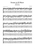 Sonata in B minor D. Scarlatti (Julian Bream) Transcription